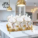 WhatsApp Image 2025-08-27 at 6.54.56 PM (7).webp