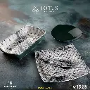 WhatsApp Image 2025-08-09 at 5.05.47 AM (2).webp