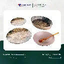 WhatsApp Image 2025-08-09 at 5.29.17 AM (3).webp