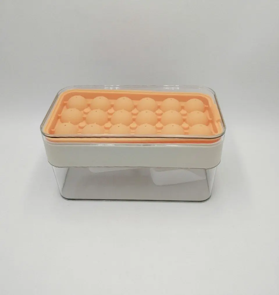 WhatsApp Image 2025-08-10 at 4.45.48 AM (1).webp