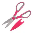 WhatsApp Image 2025-08-10 at 6.54.11 AM.webp