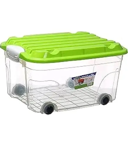 علبه مونيكا