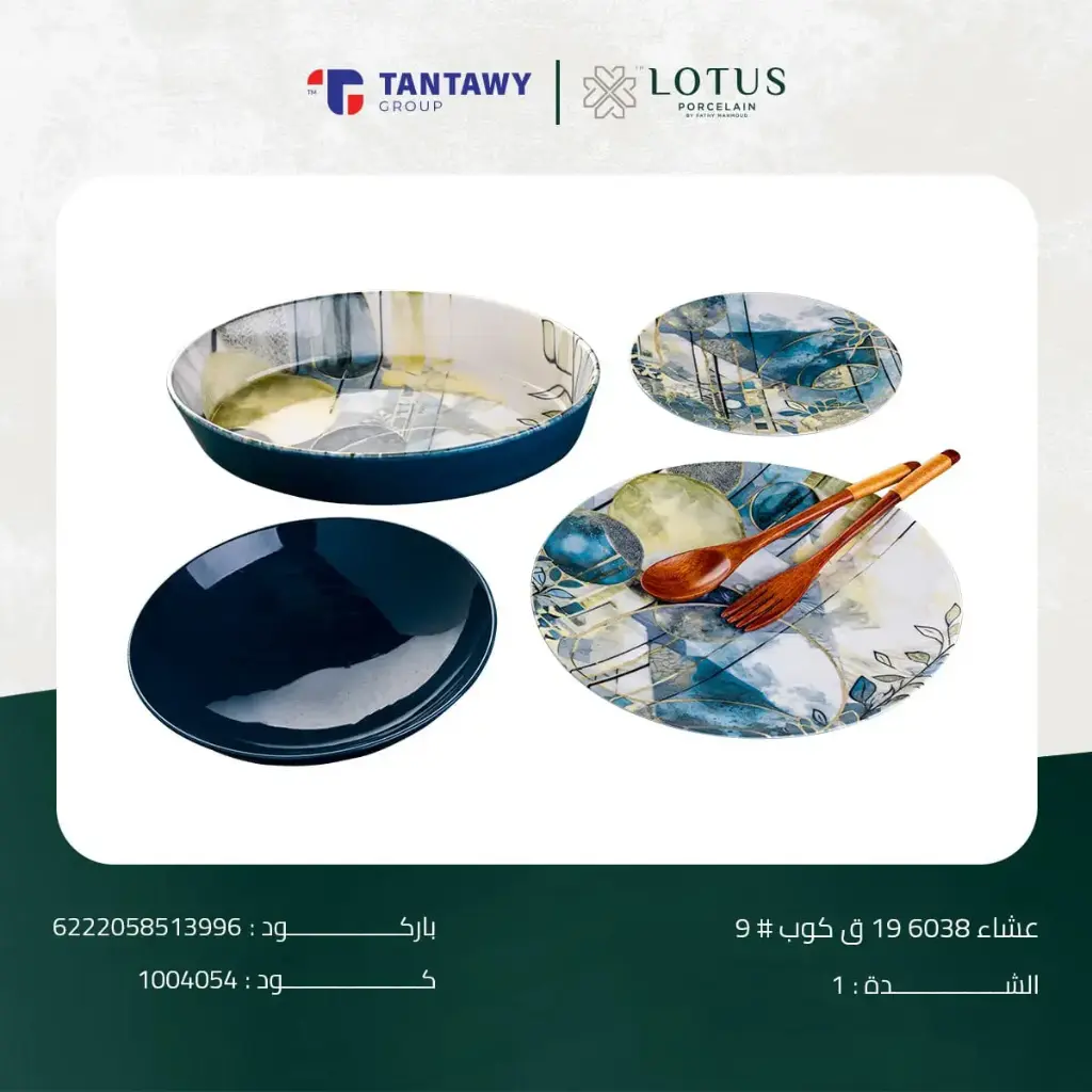 Dinner set 19 pieces 6038 #1